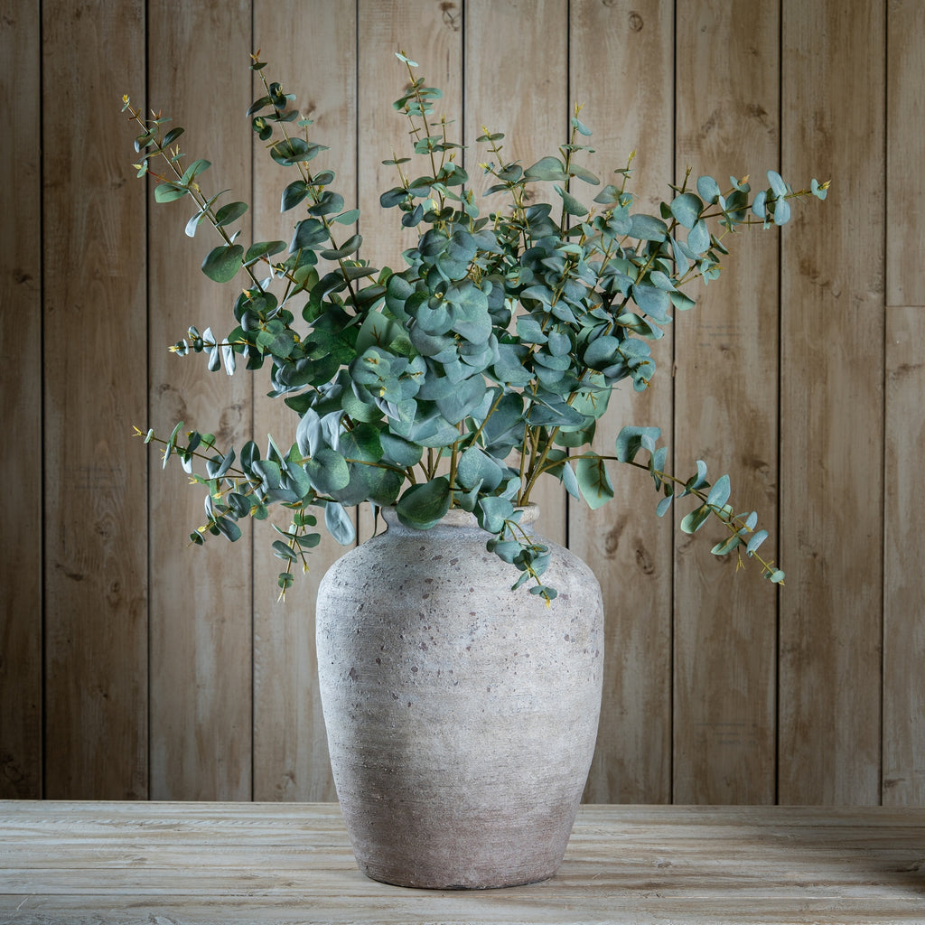 Variegated Eucalyptus