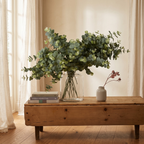Eucalyptus Spray