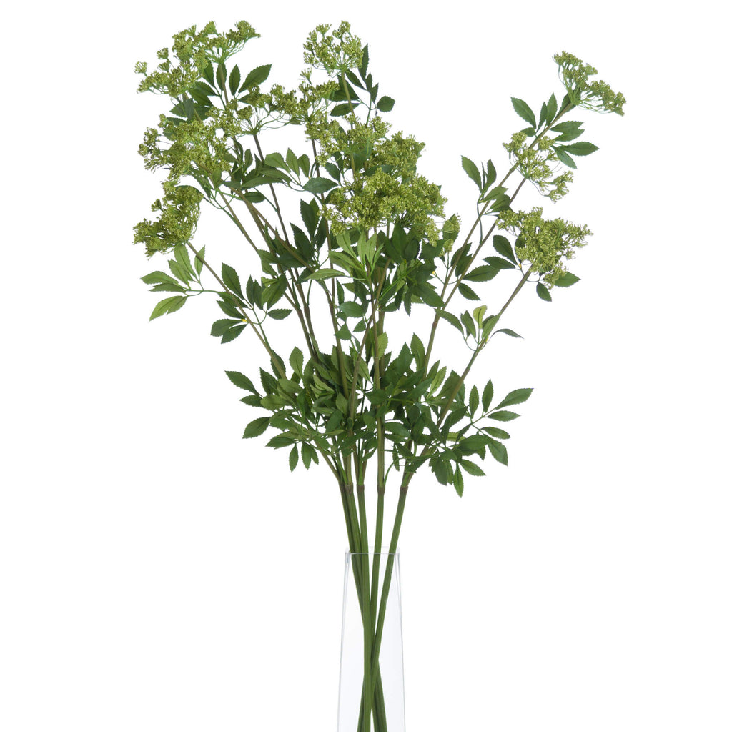 Hill Interiors Faux Cow Parsley Ammi