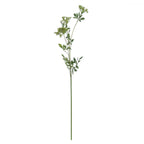 Hill Interiors Faux Cow Parsley Ammi