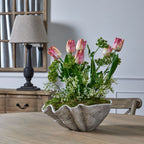 Hill Interiors Faux Cow Parsley Ammi