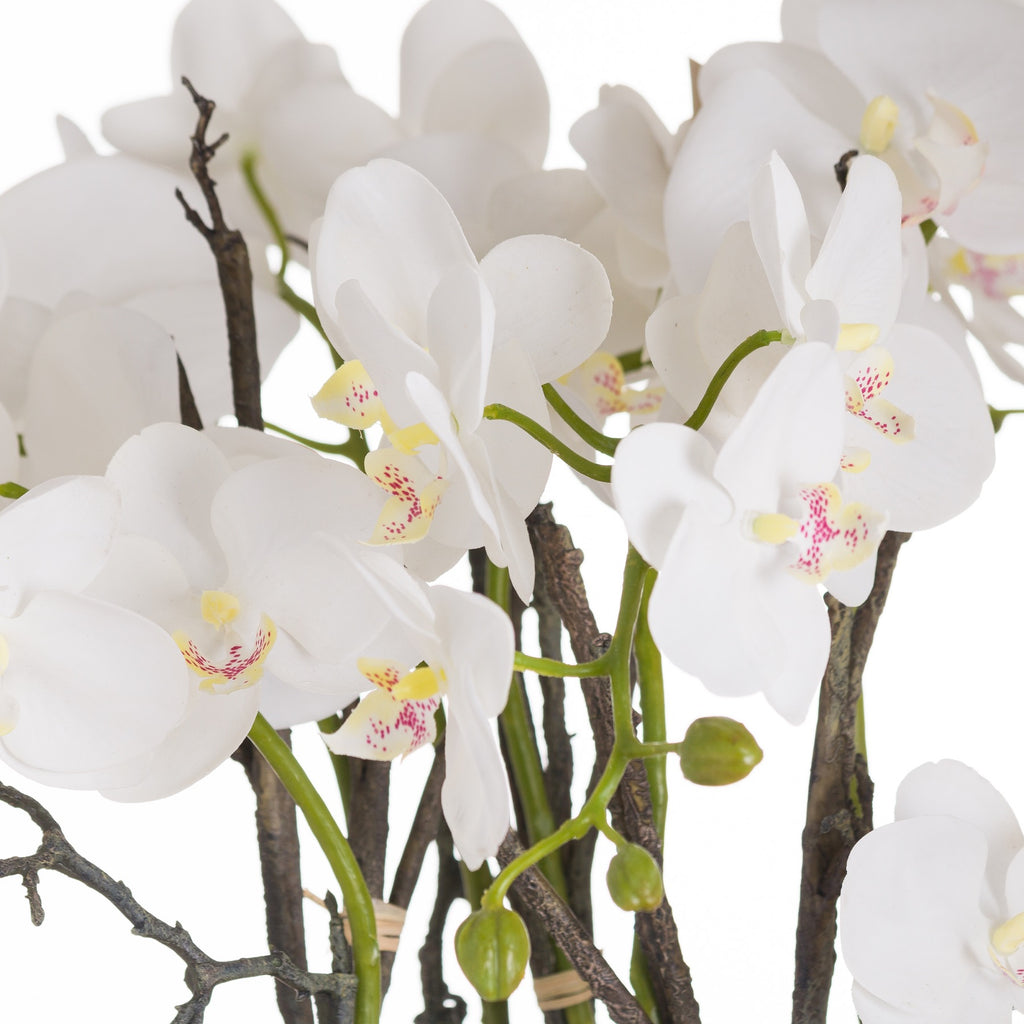 Hill Interiors Large Stone Potted Orchid with Roots