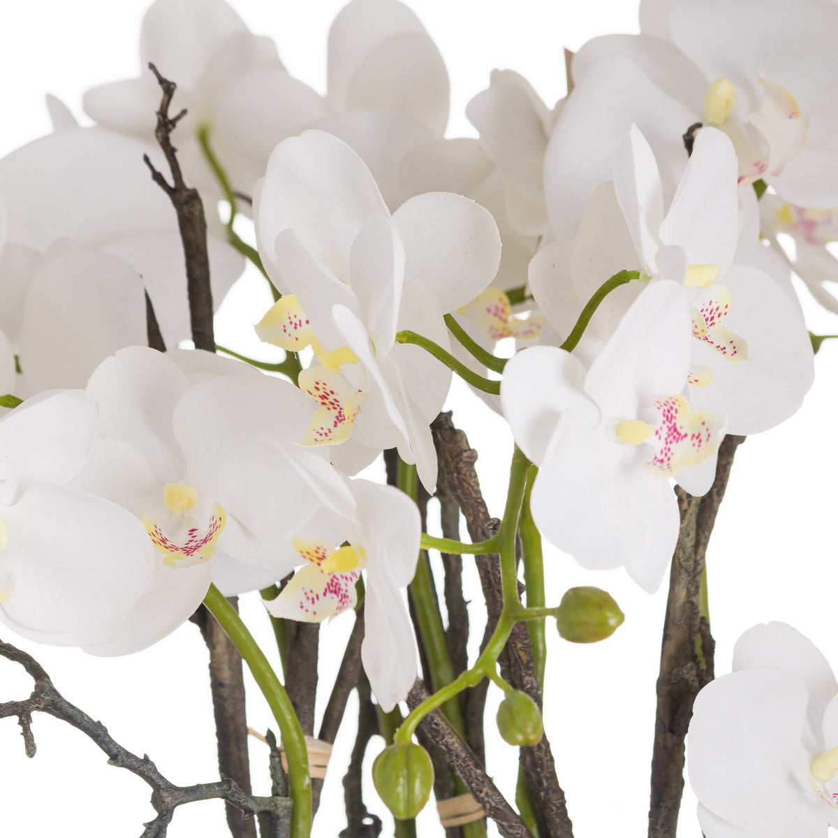 Hill Interiors Large Stone Potted Orchid with Roots