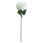 Single White Hydrangea