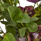 Hill Interiors Deep Plum Hellebore Plant in Taupe Pot