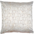 Malini Jaan Cushion