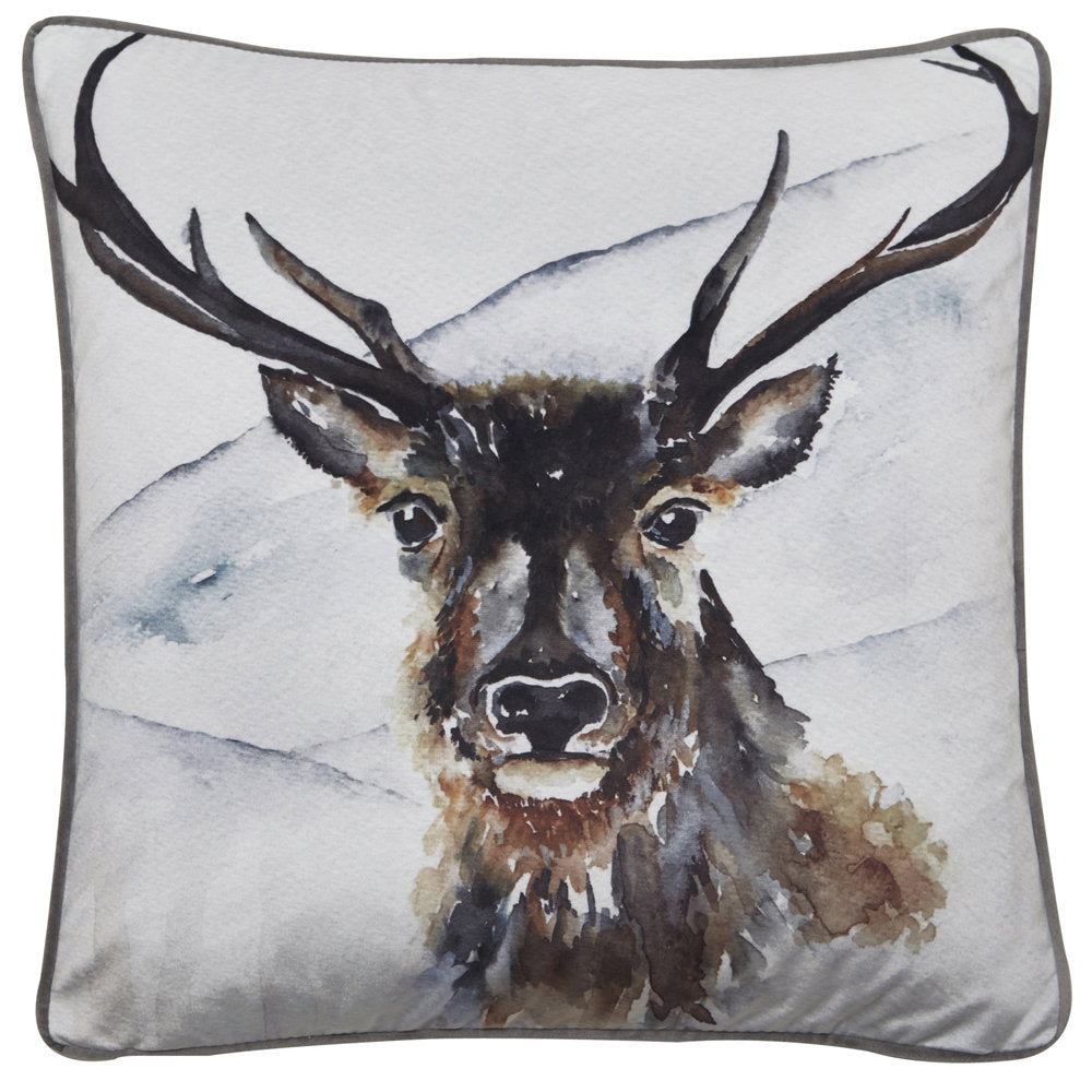 Malini Boris Cushion