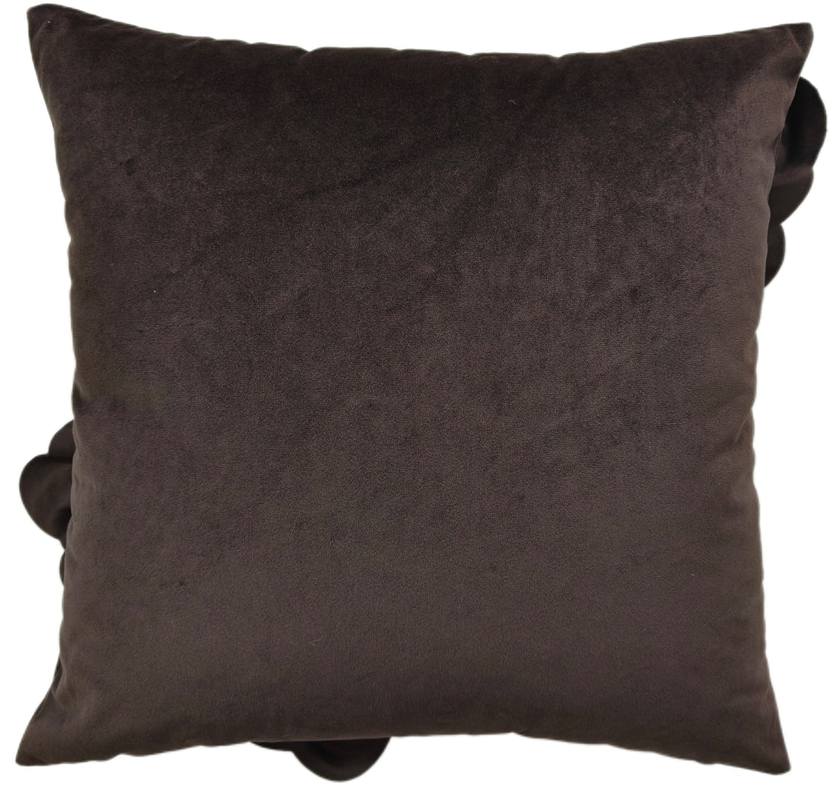Paul Moneypenny Bloomingwonderful Choc Cushion