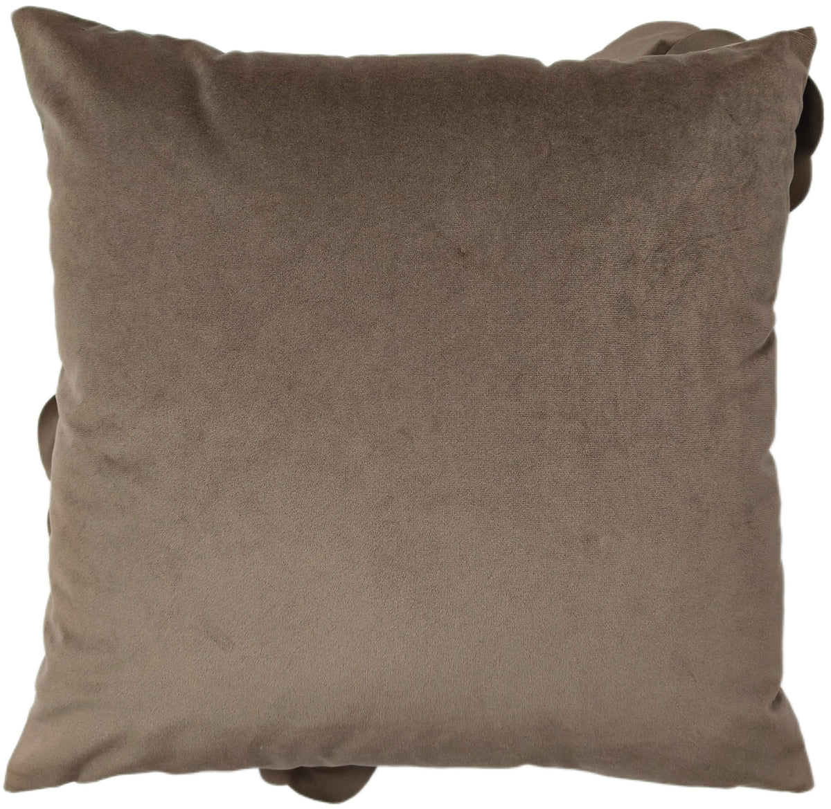 Paul Moneypenny Bloomingwonderful Taupe Cushion