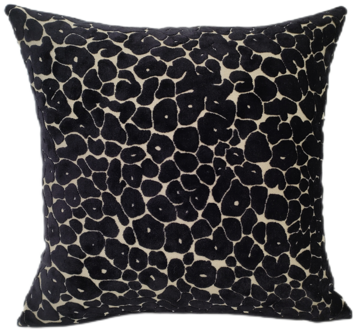 Paul Moneypenny Spoton Black Cushion