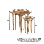 Scandi Mango Wood Nest of Tables