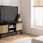 Noah Small TV Unit