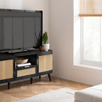 Noah 2 Door 1 Drawer TV Unit