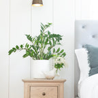 Toulon 1 Drawer Bedside