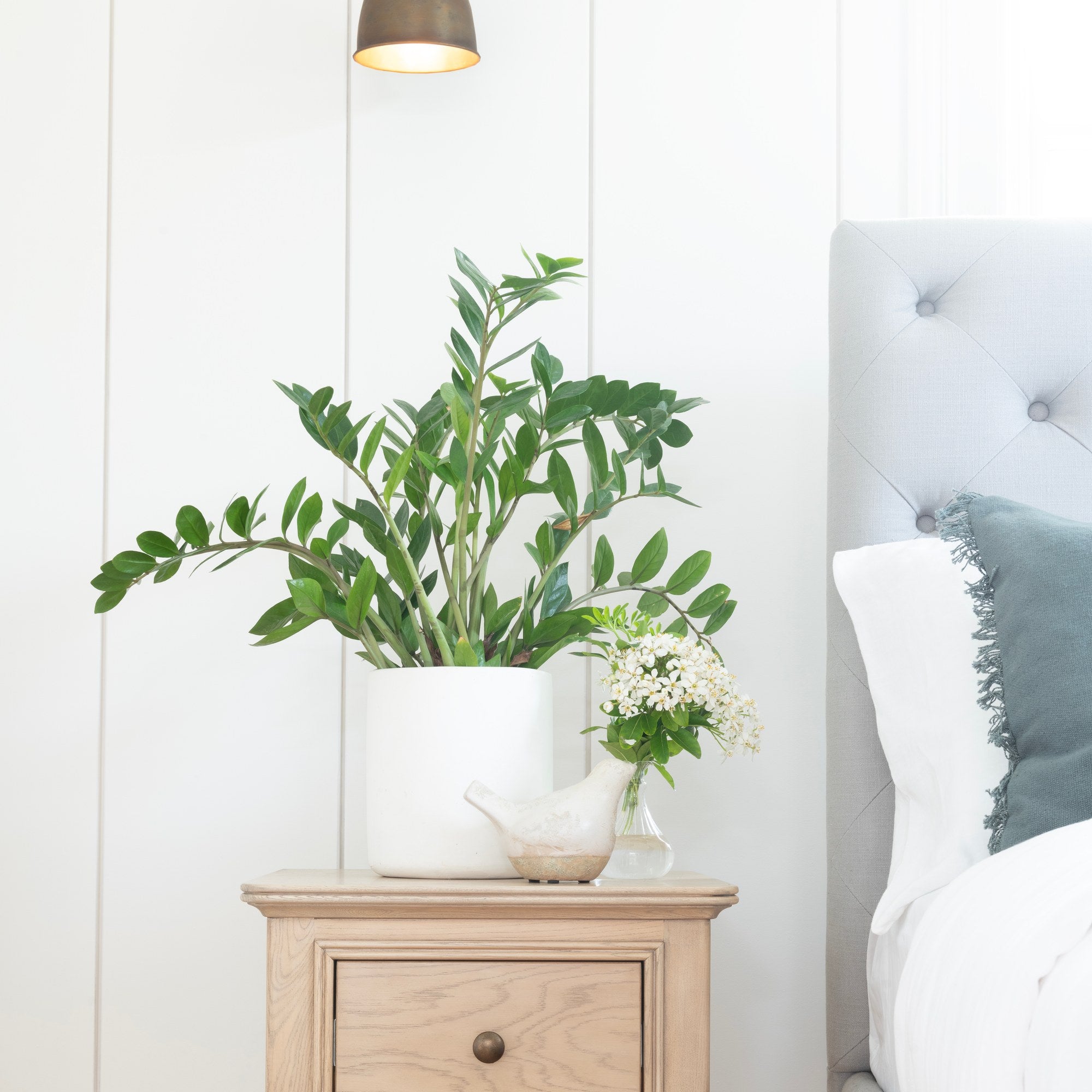 Toulon 1 Drawer Bedside